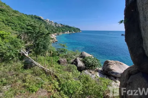 Land for sale in Ko Tao, Surat Thani