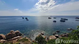Land for sale in Ko Tao, Surat Thani