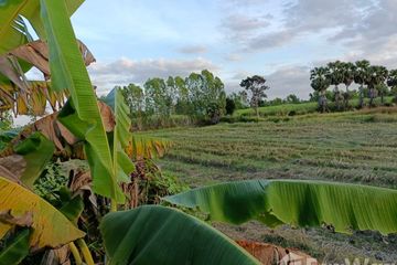 Land for sale in Nai Mueang, Nakhon Ratchasima