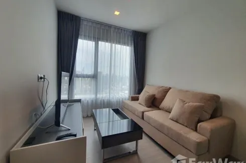 1 Bedroom Condo for rent in Makkasan, Bangkok near MRT Phra Ram 9