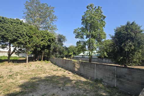 Land for sale in Mae Hia, Chiang Mai