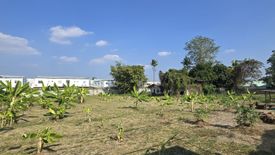 Land for sale in Mae Hia, Chiang Mai