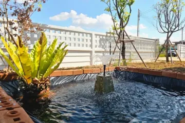 3 Bedroom House for sale in San Sai, Chiang Rai