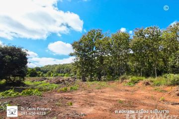 Land for sale in Doi Lan, Chiang Rai