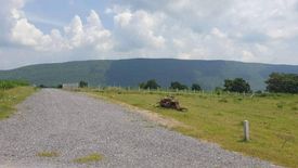 Land for sale in Khlong Ket, Lopburi