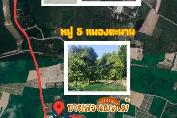 Land for sale in Nong Taphan, Rayong