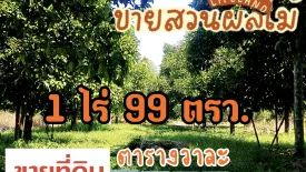Land for sale in Nong Taphan, Rayong