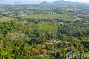 Land for sale in Pa Khlok, Phuket