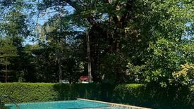 3 Bedroom House for rent in Diya Valley Saraphi, Nong Phueng, Chiang Mai