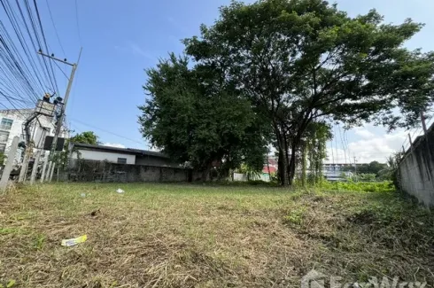 Land for sale in Nong Han, Chiang Mai