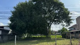 Land for sale in Nong Han, Chiang Mai