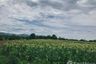 Land for sale in Khilek, Chiang Mai