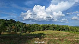 Land for sale in Ban Luang, Chiang Mai