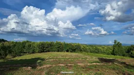Land for sale in Ban Luang, Chiang Mai