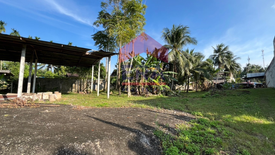 Land for sale in Lam Thap, Krabi