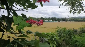 3 Bedroom House for rent in Wiang Doi Village, Choeng Doi, Chiang Mai