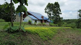 Land for sale in Mae Taeng, Chiang Mai