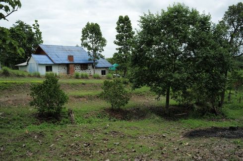 Land for sale in Mae Taeng, Chiang Mai