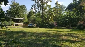Land for sale in Pa Pae, Chiang Mai