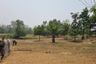 Land for sale in Mae Taeng, Chiang Mai