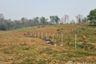Land for sale in Mae Taeng, Chiang Mai