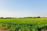 Land for sale in Ban Chang, Pathum Thani