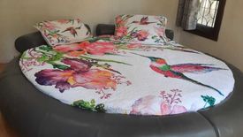 2 Bedroom House for rent in Lipa Noi, Surat Thani