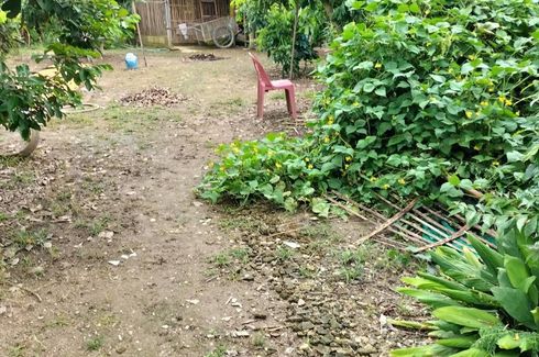 Land for sale in San Sai, Chiang Mai