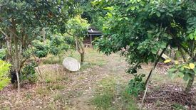 Land for sale in San Sai, Chiang Mai