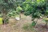 Land for sale in San Sai, Chiang Mai