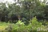 Land for sale in Mon Pin, Chiang Mai