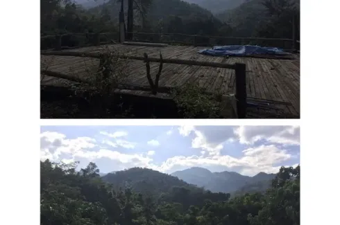 Land for sale in Mueang Kai, Chiang Mai