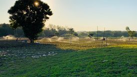 Land for sale in Cho Lae, Chiang Mai