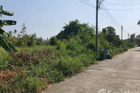 Land for sale in Khlong Yong, Nakhon Pathom