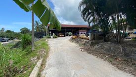 Land for sale in Bo Phut, Surat Thani