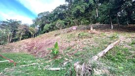 Land for sale in Patong, Phuket