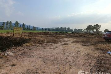 Land for sale in Mueang Chum, Chiang Rai