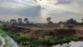 Land for sale in Mueang Chum, Chiang Rai