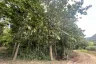 Land for sale in Lae, Nan