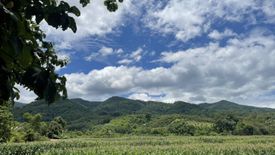 Land for sale in Lae, Nan