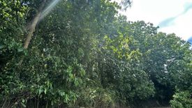 Land for sale in Lae, Nan