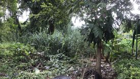 Land for sale in Sala Klang, Nonthaburi