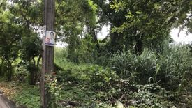 Land for sale in Sala Klang, Nonthaburi