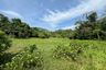Land for sale in Choeng Thale, Phuket