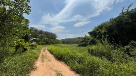 Land for sale in Choeng Thale, Phuket