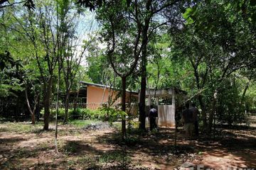 Land for sale in Don Thong, Phitsanulok