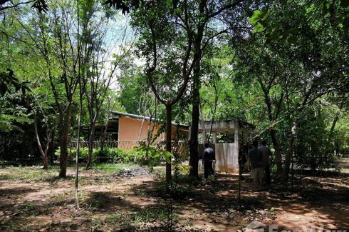 Land for sale in Don Thong, Phitsanulok