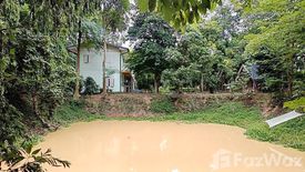 Land for sale in Don Thong, Phitsanulok