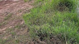 Land for sale in Sueang Khao, Sisaket