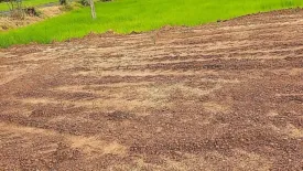 Land for sale in Sueang Khao, Sisaket